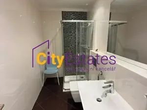 Pronájem bytu 1+kk, Praha - Holešovice, Šimáčkova, 50 m2