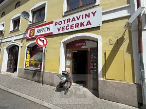 Prodej obchodního prostoru, Štětí, Krátká, 143 m2