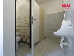 Prodej obchodního prostoru, Jeseník, Moravská, 1051 m2