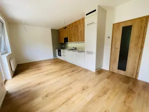 Pronájem bytu 2+kk, Rychnov u Jablonce nad Nisou, Mlýnská, 53 m2