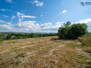 Prodej pozemku pro bydlení, Mohelnice, 481 m2