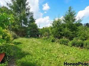 Prodej rodinného domu, Borová, 244 m2
