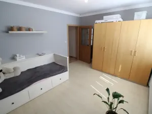 Prodej rodinného domu, Bříza, 164 m2