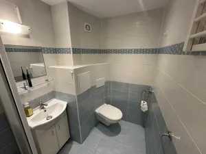 Pronájem bytu 1+kk, Hradec Králové, Hradecká, 30 m2