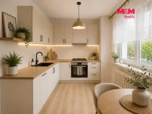 Prodej bytu 1+1, Orlová - Lutyně, Masarykova třída, 36 m2