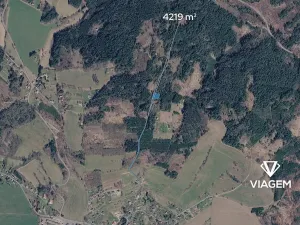 Prodej podílu lesa, Železný Brod, 881 m2