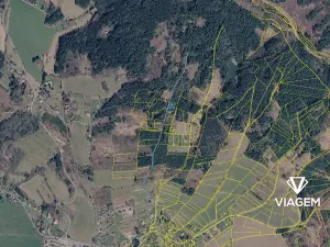 Prodej podílu lesa, Železný Brod, 881 m2