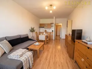 Prodej bytu 1+kk, Český Těšín, Slezská, 29 m2