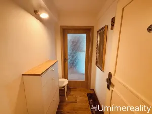 Pronájem bytu 1+kk, Praha - Vinohrady, Šrobárova, 50 m2