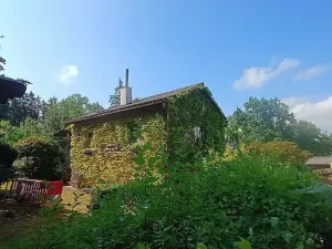 Prodej chaty, Šťáhlavy, 40 m2