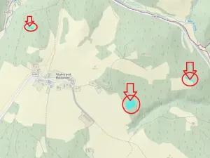Prodej lesa, Buk, 8674 m2