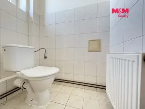 Prodej bytu 2+1, Havlíčkova Borová, Havlíčkova, 63 m2