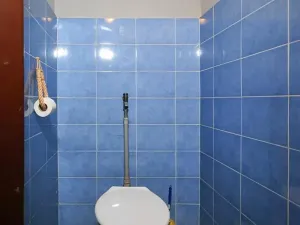 Prodej rodinného domu, Kolín, Veltrubská, 411 m2
