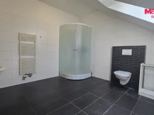 Pronájem bytu 3+kk, Prostějov, Polišenského, 110 m2