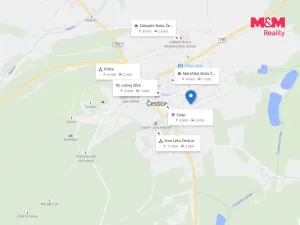 Prodej rodinného domu, Čestice, 256 m2