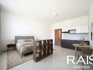Prodej bytu 1+kk, Brno, Tišnovská, 29 m2