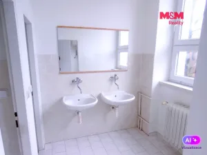 Pronájem obchodního prostoru, Ostrava - Mariánské Hory, Karasova, 335 m2