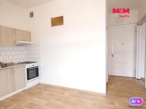 Pronájem bytu 1+1, Ostrava - Moravská Ostrava, Repinova, 40 m2