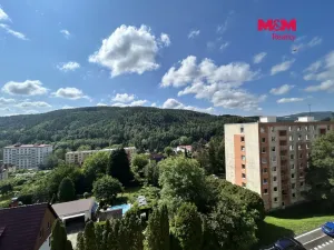 Pronájem bytu 1+1, Děčín, Nálepkova, 35 m2