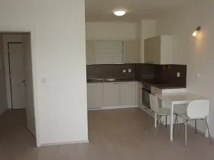 Pronájem bytu 1+kk, Střelice, Příční, 43 m2