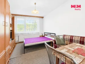 Pronájem bytu 1+1, Zlín, Družstevní, 20 m2