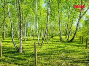 Prodej pozemku pro bydlení, Hradištko, 3825 m2