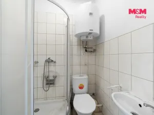 Prodej činžovního domu, Děčín - Děčín VII-Chrochvice, Vilsnická, 500 m2