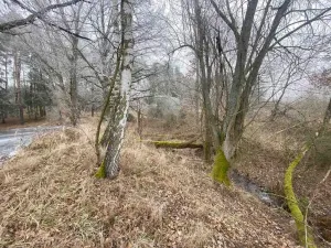 Prodej pole, Slatina, 13059 m2