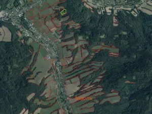 Prodej pozemku, Sobotín, 10593 m2