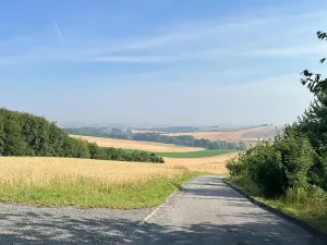 Prodej rodinného domu, Orlovice, 90 m2