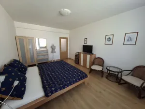 Prodej bytu 3+1, Olomouc, Rumunská, 107 m2