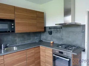 Pronájem bytu 2+1, Studénka, Arm. gen. L. Svobody, 50 m2