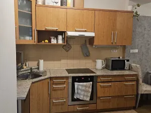 Pronájem bytu 1+1, Litomyšl, Smetanovo náměstí, 59 m2