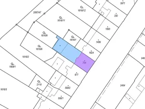 Dražba vícegeneračního domu, Náchod, Komenského, 1000 m2