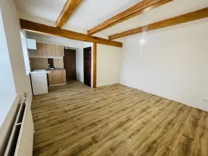 Pronájem bytu 1+kk, Liberec - Liberec XXX-Vratislavice nad Nisou, Kořenovská, 30 m2