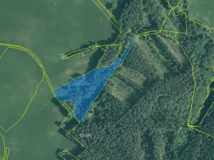 Dražba louky, Kynšperk nad Ohří, 52482 m2