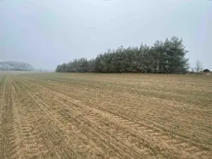 Dražba pole, Slatina, 13059 m2