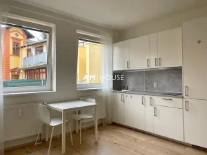 Pronájem bytu 1+kk, Praha - Krč, Budějovická, 23 m2