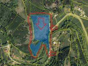 Prodej lesa, Malá Bystřice, 43476 m2