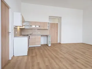 Pronájem bytu 4+kk, Teplice, Dubská, 97 m2