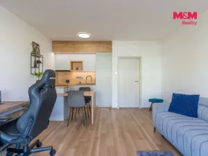 Prodej bytu 1+kk, Prostějov - Čechovice, Na Lukách, 32 m2