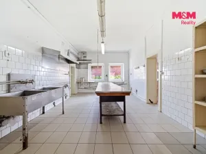 Prodej restaurace, Libina - Dolní Libina, 300 m2