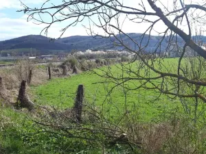 Prodej zahrady, Leština, 1099 m2