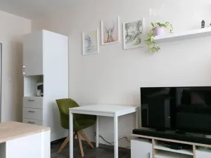 Pronájem bytu 1+kk, Zlín, U Trojáku, 27 m2