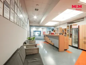 Pronájem obchodního prostoru, Rožnov pod Radhoštěm, Meziříčská, 320 m2