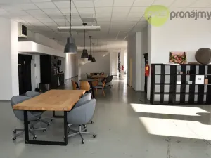 Pronájem výrobních prostor, Ostrava, Cihelní, 701 m2