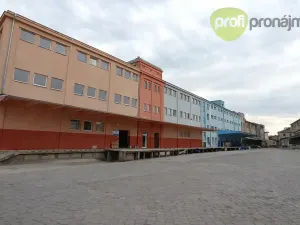 Pronájem obchodního prostoru, Ostrava, Cihelní, 701 m2