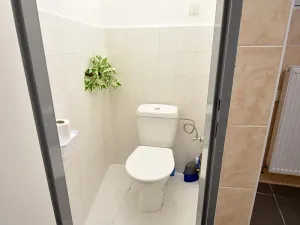 Pronájem bytu 1+1, Brandýs nad Labem-Stará Boleslav, Pražská, 42 m2