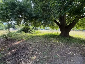Prodej rodinného domu, Běšiny, 117 m2