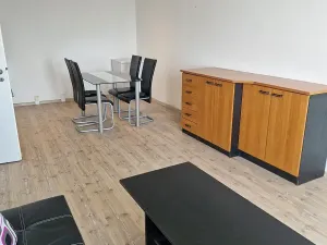 Pronájem bytu 1+kk, Brno, 47 m2